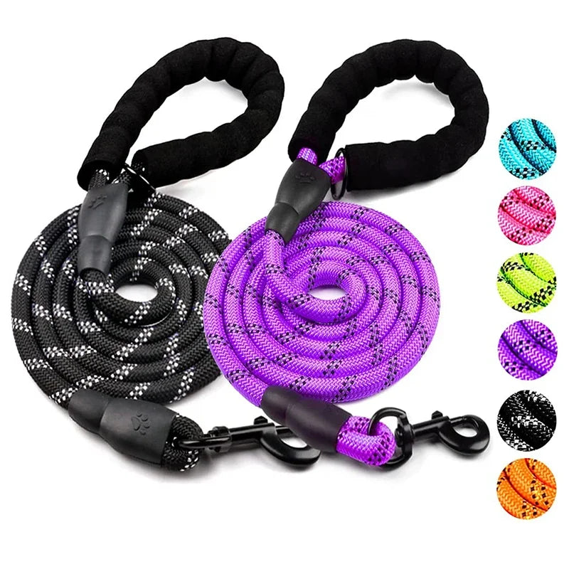 Dog Walking Essentials