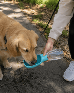 Portable Dog Water Bottle