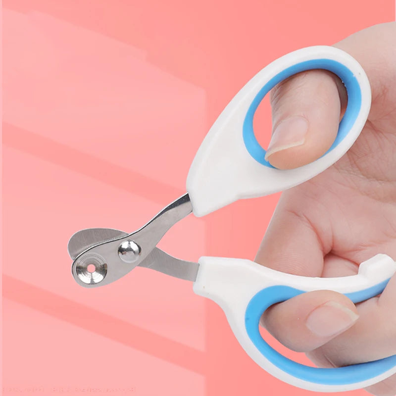 Pet Nail Clippers - Blue in hands