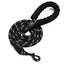 Reflective Dog Leash- Black