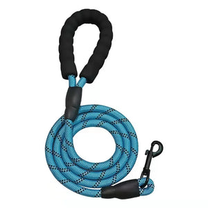 Reflective Dog Leash- Sky Blue