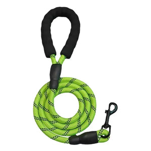 Reflective Dog Leash- Green