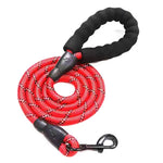 Reflective Dog Leash- Red