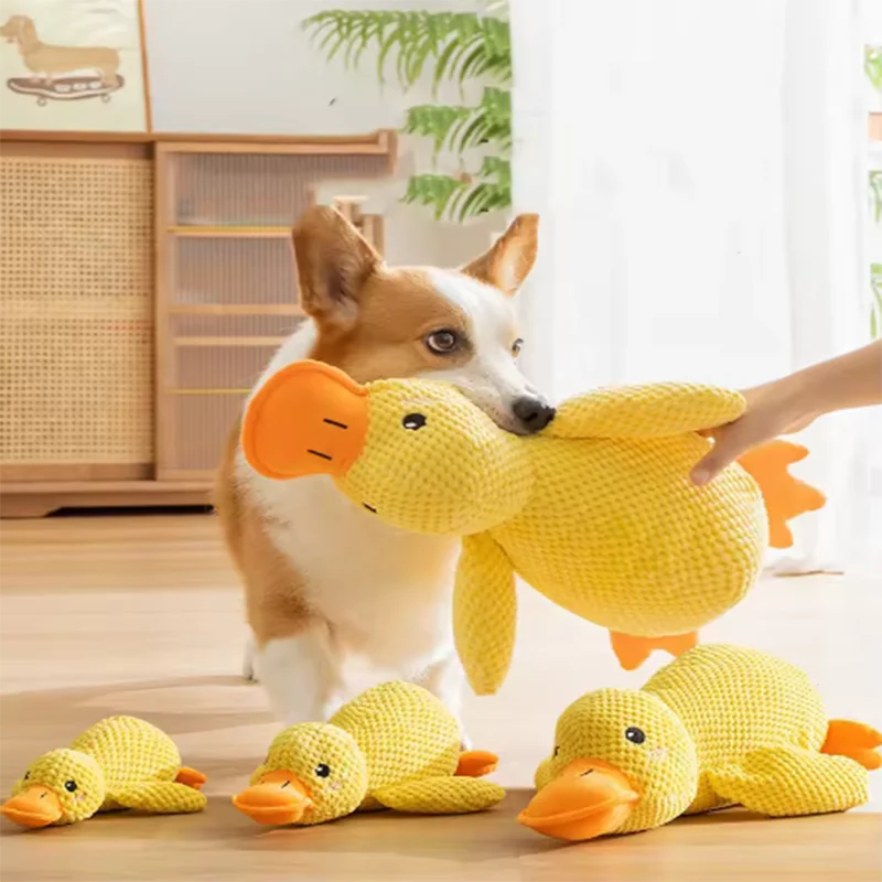 Interactive Pet Toys
