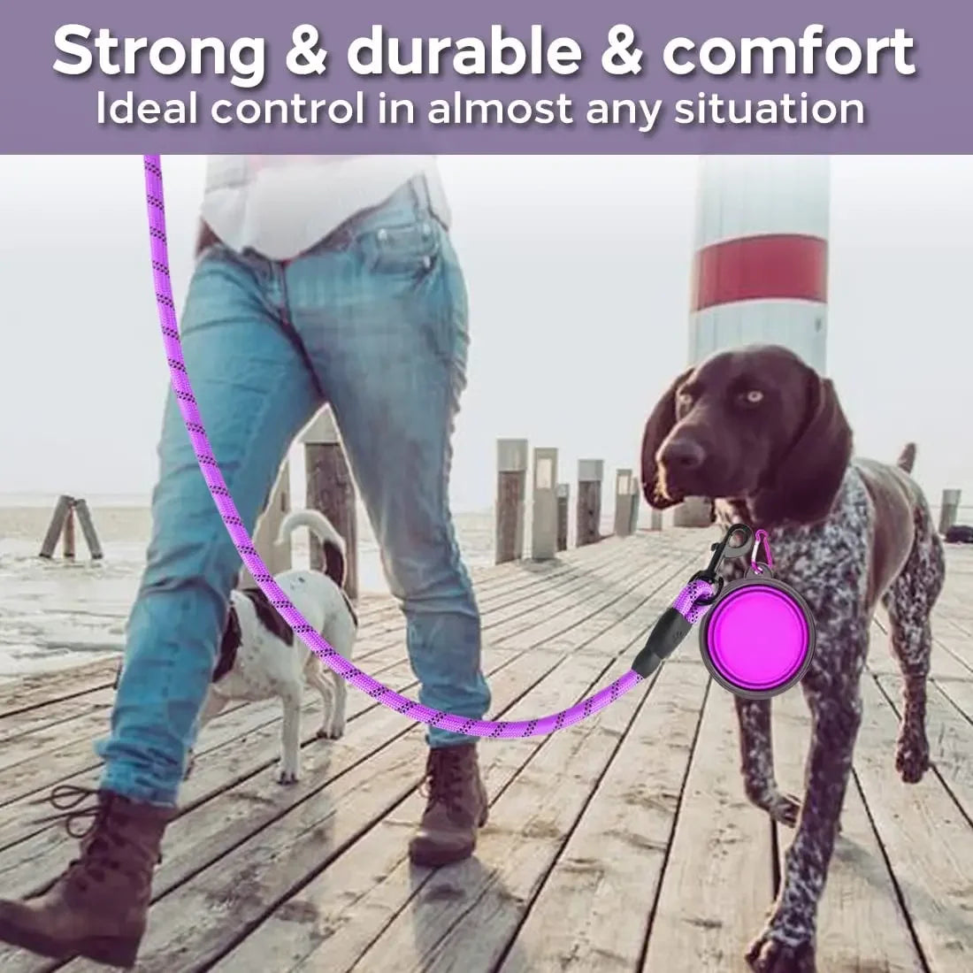 Reflective Dog Leash 