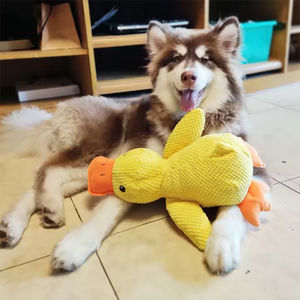 Dog resting with interactive duck dog toy on the floor, promoting play and relaxation for pets.