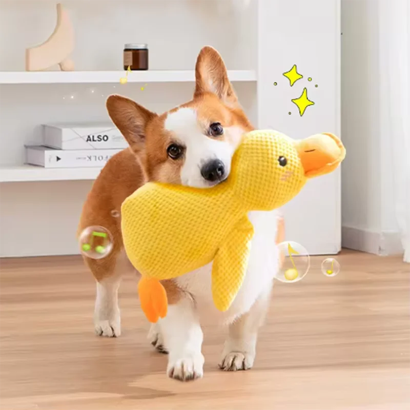 Dog playing with an interactive duck dog toy, a plush yellow duck, in a cozy indoor setting.