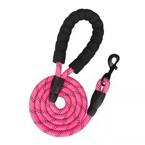 Reflective Dog Leash- Pink