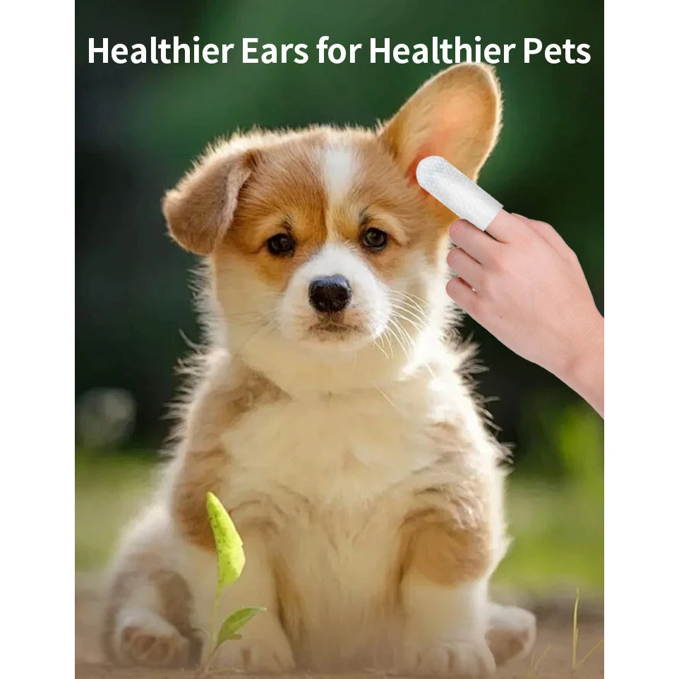 Pet Ear Cleaning Wipes for Dogs & Cats | Finger Ear Wipes on cute Dog