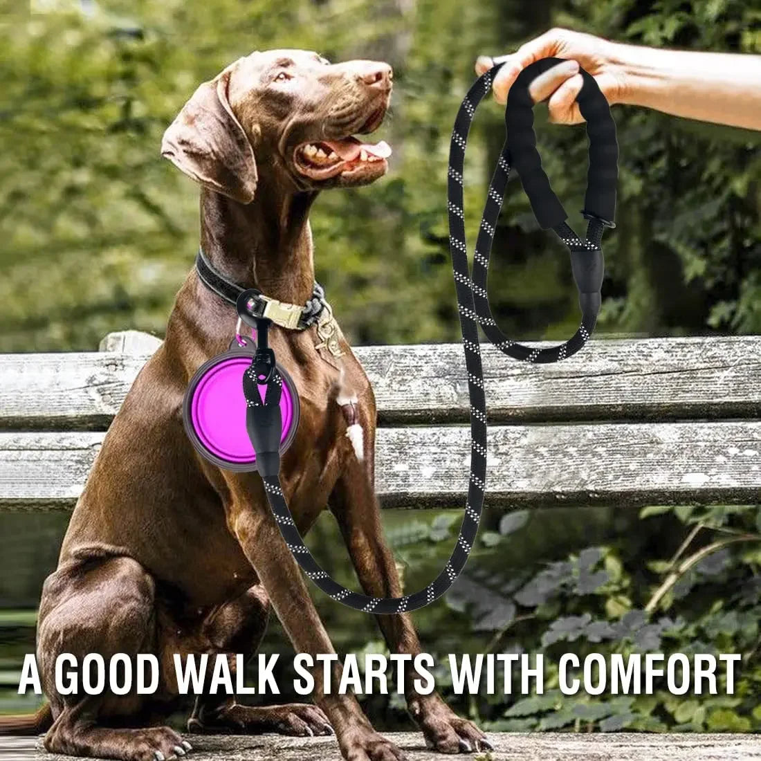 Reflective Dog Leash 